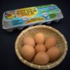 Nagatoshi Cage Free Eggs 12pcs - Tradewind Seafood