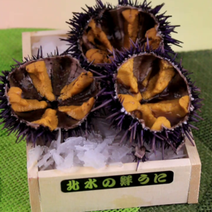Wild Caught Purple Sea Urchin