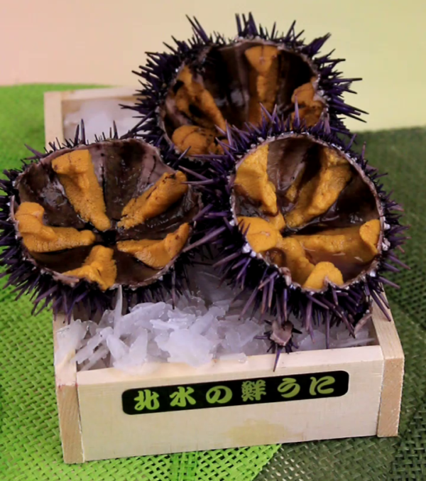 Wild Caught Purple Sea Urchin