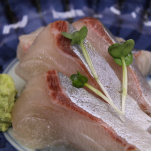 Kinmedai (Golden eye snapper), Sushi Iwa 8-5-25 Ginza Chuo-…