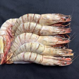 U3 Tiger Shrimp 2LBS box (Frozen)